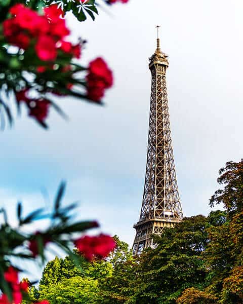 tours-05-free-img