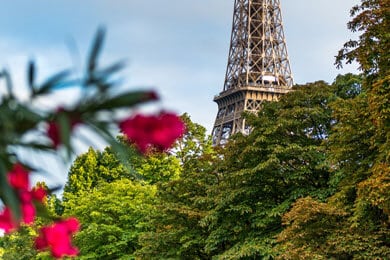 tours-13-free-img