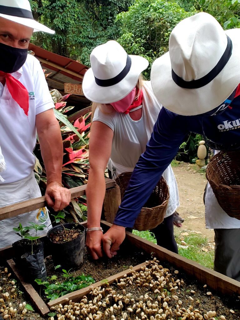 Tour finca cafetera 4