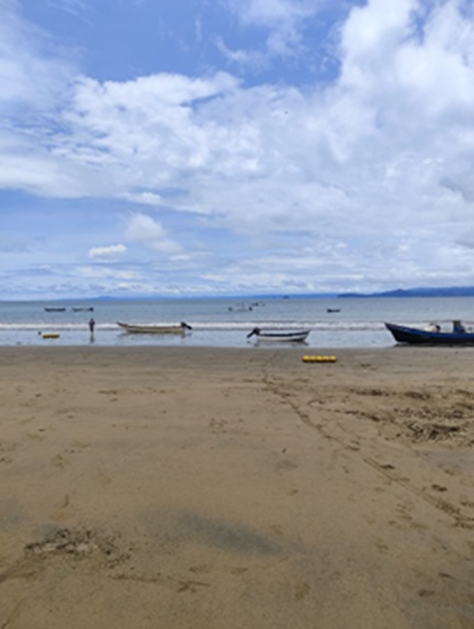 image (2)