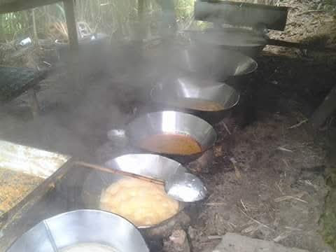 tour panela